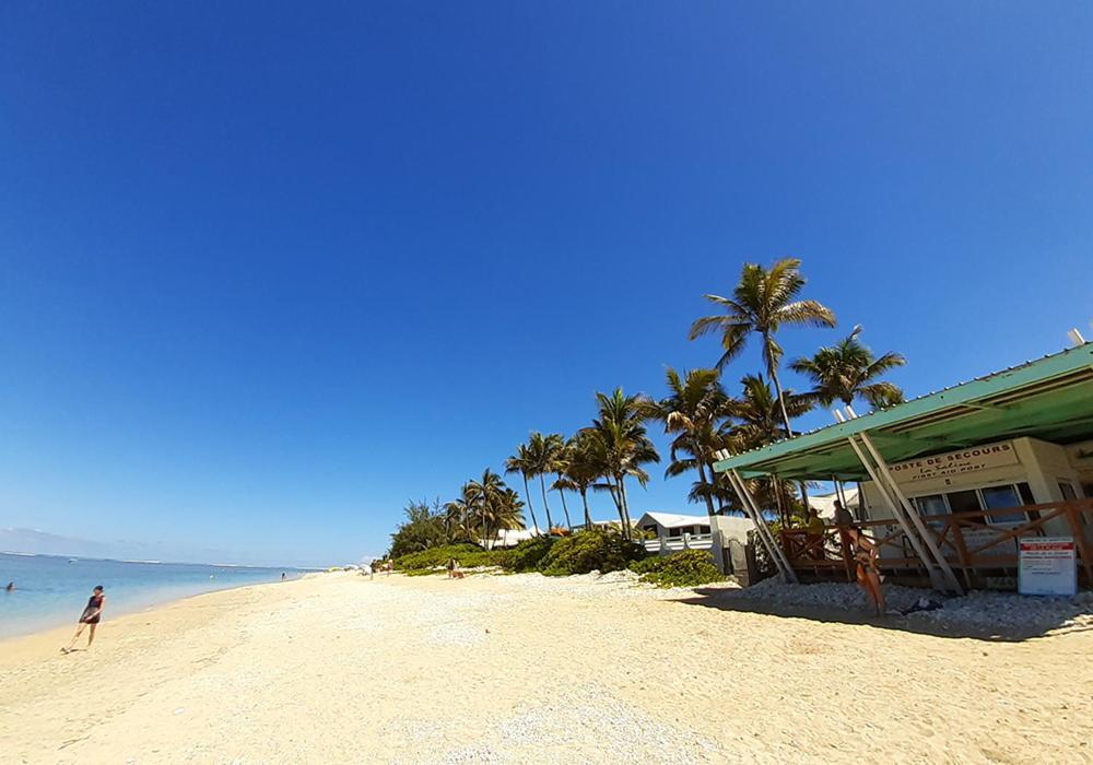 Exceptionnel ! Le Kazuarina, Tres Bel Apt F3 A 50M De La Plage De ラ・サリーヌ・レ・バン エクステリア 写真