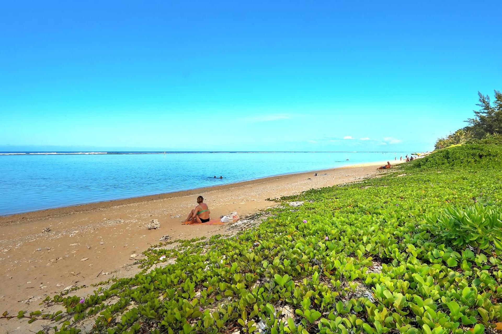 Exceptionnel ! Le Kazuarina, Tres Bel Apt F3 A 50M De La Plage De ラ・サリーヌ・レ・バン エクステリア 写真